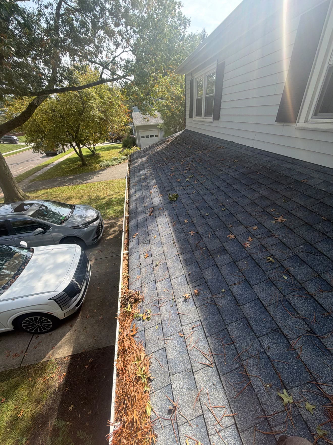 Gutter cleaning — before