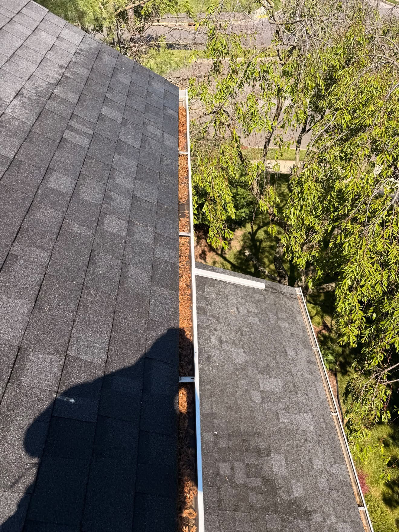 Gutter cleaning — before